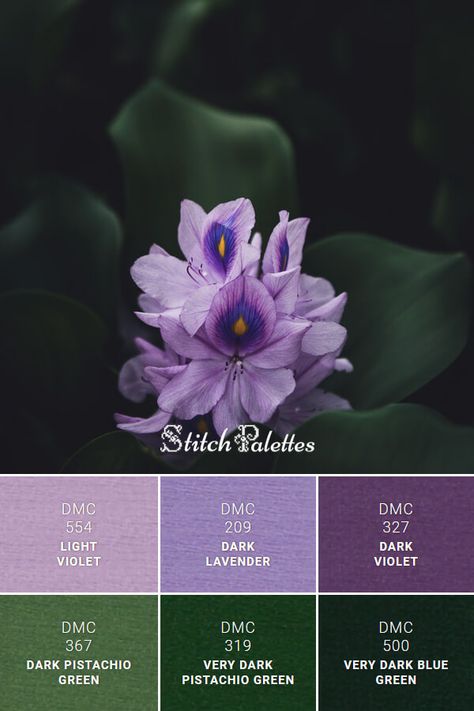 Floss color inspiration for cross stitch and embroidery projects. Thread colors used: DMC 327: Dark Violet / DMC 209: Dark Lavender / DMC 554: Light Violet / DMC 367: Dark Pistachio Green / DMC 319: Very Dark Pistachio Green / DMC 500: Very Dark Blue Green. Palette ID: SPA0523 Hunter Green And Lavender, Dark Green And Purple Palette, Emerald Green And Purple Color Palette, Dmc Purple Palette, Purple Green Grey Color Palette, Dark Green Light Purple Wedding, Lavender And Emerald Green Color Palette, Dark Purple And Green Color Palette, Purple Green White Color Palette