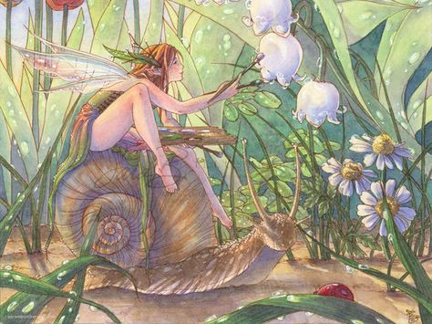 Woodland Fairy You are an average fairy, but your special attribute is your affinity to nature and wildlife. You are well balanced and benign, unlike your cousin the Pixie. Plants, Flowers, Art