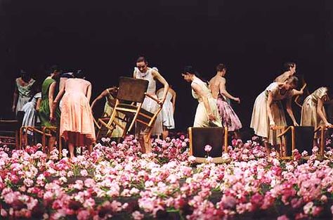 Pina Bausch Jean Shinoda Bolen, John Ross, Ritual Dance, Pina Bausch, Season Of The Witch, Beltane, Witch Aesthetic, Witchy Woman, Modern Dance