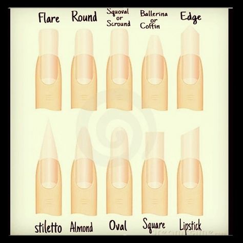 What shape are you currently wearing or which one are you ready to make the change to? Nail Shape Names, Becoming An Esthetician, Different Nail Shapes, High Fashion Makeup, Shape Names, Hair School, Cosmetology School, The Ballerina, Almond Shape Nails