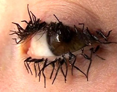 . Insect Legs, Spider Legs, Creepy Spider, Unusual Things, Fake Eyelashes, Real Life Stories, False Eyelashes, Behind Ear Tattoo, Eyelash Extensions