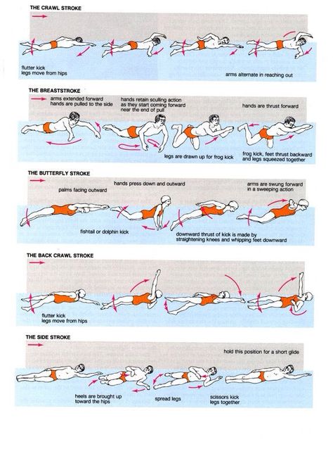 swim Swimming Drills, Swim Technique, Swimming Strokes, Swimmers Life, Pool Workout, Swim Coach, Swim Mom, Swimming Tips, Competitive Swimming