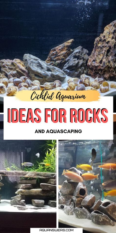 Are you looking for ideas on what rocks to choose and how to aquascape your Cichlid tank? Look no further, in this article you'll find 6 stylish and safe rockscape choices for an aquarium with African or South American Cichlid species. Rock Aquarium Ideas, Aquascape Design Rocks, Cichlid Tank Ideas, Mbuna Cichlids, African Cichlid Tank, Fish For Beginners, 75 Gallon Aquarium, Cichlid Tank, Aquascaping Ideas