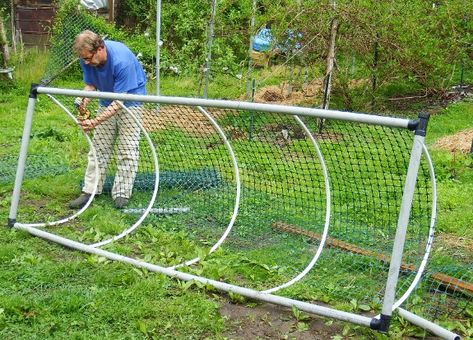 Chicken run out of PVC. Reban Ayam, Chicken Tunnels, Chicken Coop Blueprints, Mobile Chicken Coop, Easy Chicken Coop, Portable Chicken Coop, Chicken Pen, Chicken Tractors, Backyard Chicken Coop Plans