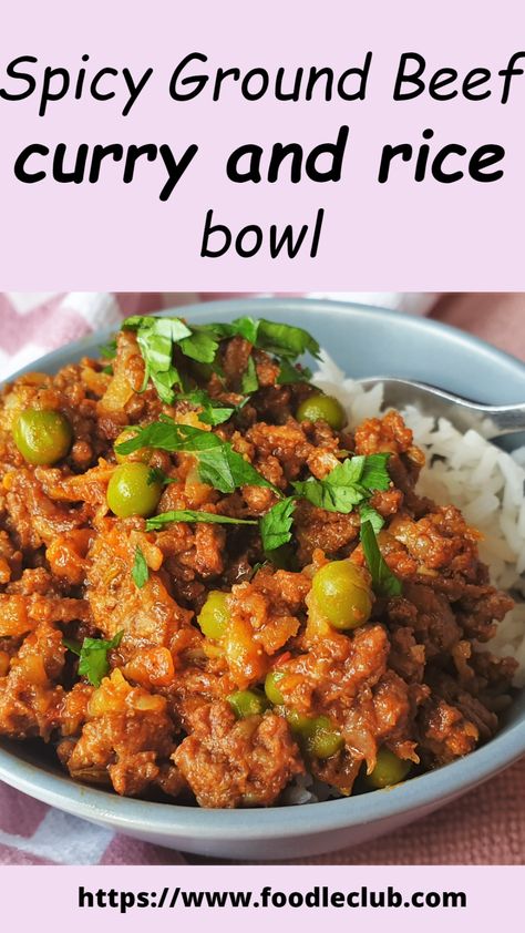 If you are looking for something different to make for a weekday supper, why not try this spicy ground beef curry and rice. It makes a nice change from the usual spaghetti bolognese or meatloaf. #foodleclub #homemade #curryandrice #beefcurry #easysuppers Ground Beef Curry Recipe, Minced Beef Curry, Minced Beef Recipes Easy, Curry Ground Beef, Easy Homemade Food, Beef Recipes Easy Dinners, Curry And Rice, East Indian Food, Beef Curry Recipe