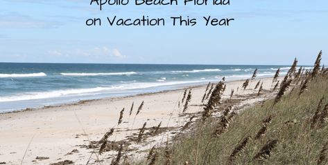 Pompano Beach Florida Things To Do, Madeira Beach Florida Things To Do, Things To Do In Vero Beach Fl, Vero Beach Florida Things To Do In, Apollo Beach Florida, Daytona Beach Florida, Healthy Travel, Tampa Bay Area, New Smyrna Beach