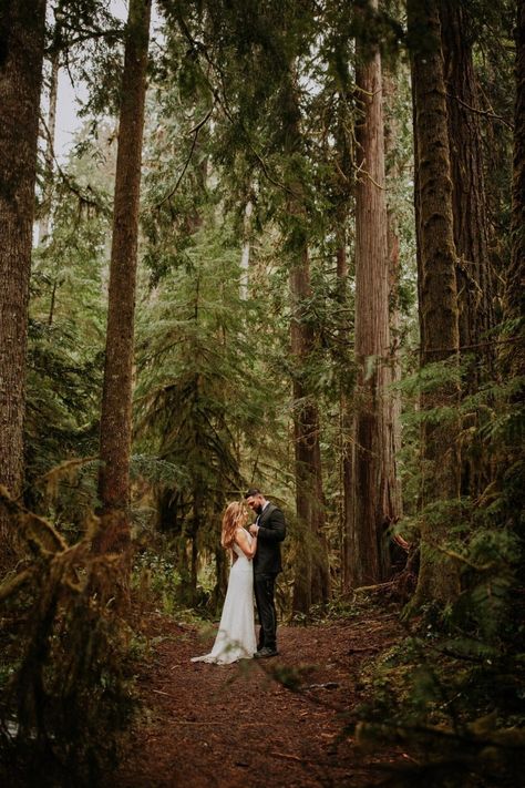 Rainy Adventure Elopement at Olympic National Park, Washington | Wandering Weddings Olympic National Park Engagement Photos, Redwood National Park Elopement, Olympic National Park Wedding, Olympic National Park Elopement, Elopement Wedding Ideas, Adventure Wedding Photography, Pnw Elopement, Olympic National Park Washington, Forest Elopement