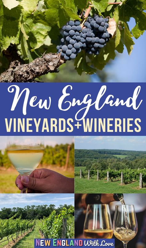 New England Wineries, Martha Vineyard, Friend Trip, Rhode Island Travel, Back To Yourself, Connecticut Travel, England Travel Guide, Massachusetts Travel, Unique Fruit