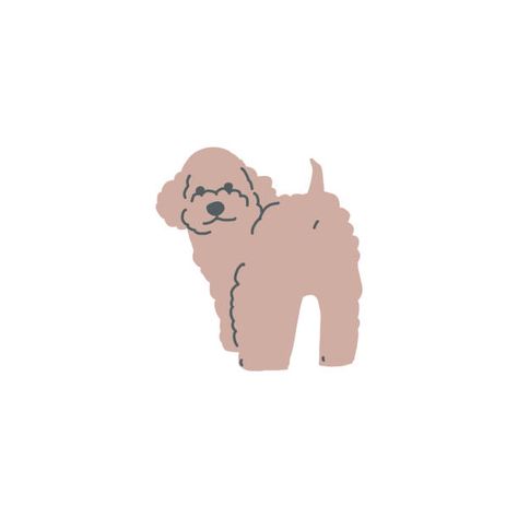 Poodle Illustration Cartoon, Small Dog Illustration, Poodle Dog Illustration, Poodle Illustration Cute, Cute Poodle Drawing, Cavapoo Illustration, Toy Poodle Drawing, Toy Poodle Tattoo, Toy Poodle Illustration