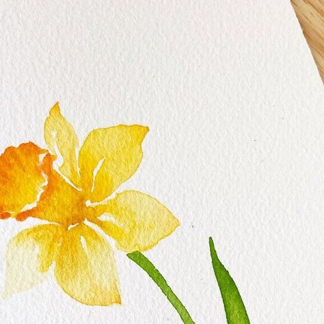 Watercolor Daffodils Easy, Daffodil Paintings, Watercolour Daffodils, Watercolor Daffodils, Daffodil Watercolor, Flowers To Paint, Learn Watercolor Painting, Narcissus Flower, Learn Watercolor