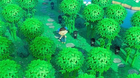 Bamboo Island Animal Crossing, Animal Crossing Bamboo Forest, Bamboo Forest Acnh, Acnh Bamboo Forest Idea, Acnh Onsen, Acnh Bamboo, Acnh Inspiration, Happy Home Designer, Animal Crossing Wild World