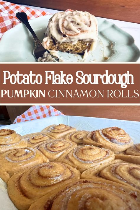 Pumpkin Cinnamon Rolls - Potato Flake Sourdough - Little Tennessee Home Sourdough Starter Recipe With Potato Flakes, Potato Flake Starter, Potato Flake Sourdough Starter, Best Cinnamon Roll Recipe, Sourdough Pumpkin, Maple Icing, Sourdough Cinnamon Rolls, Sourdough Bread Starter, Sourdough Recipe