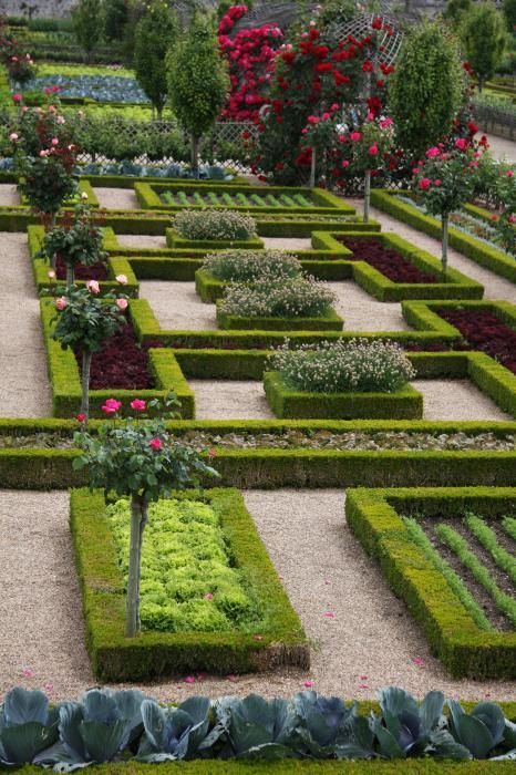 Cabbage Garden, Box Hedges, Nice Backyard, Formal Garden Design, Provence Garden, Gardens Flowers, Gardens Of The World, Rose Bushes, Famous Gardens