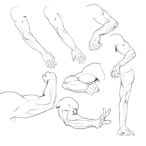 Arm Anatomy, Hands Tutorial, Arm Drawing, Draw Hands, Inside Art, Drawing Hands, Human Anatomy Drawing, Body Sketches, Hand Drawing Reference