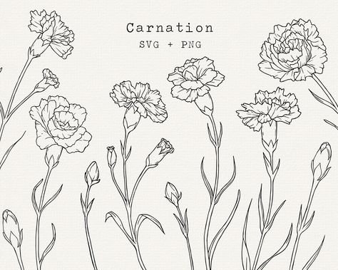 Carnation Vector, Simple Outline Drawing, Carnation Drawing, Line Art Simple, Vine Drawing, Matching Friend Tattoos, Flower Line Art, Matching Friend, Flower Line Drawings