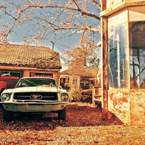 Fall Mustang. #ford #mustang #autumn Muscle Cars Camaro, 1966 Chevelle, Vintage Auto's, Mustang Car, Vintage Mustang, 1967 Mustang, Mustang Ii, Classic Mustang, Ford Classic Cars