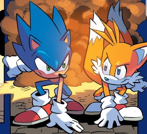 Sonic and tails from IDW Sonic the hedgehog issue 1 Sonic The Hedgehog And Tails, Sonic And Tails Comic, Sonic And Tails Wallpaper, Sonic And Tails Brothers, Tails And Amy, Tails Fanart Sonic, Tails Idw Comic, Sonic Y Tails, Tails X Sonic