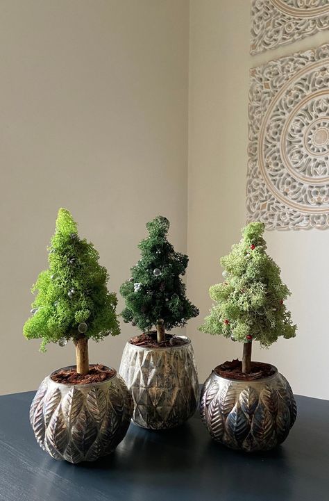 Moss Christmas Tree, Moss Christmas, Moss Tree, Tree Christmas Decoration, Tree Miniature, Reindeer Moss, Winter Window, Christmas Tree Painting, Christmas Tree Inspiration