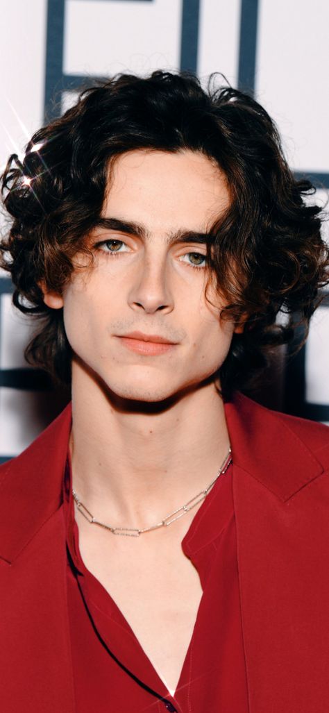 Timothée Chalamet Fondos, Edits - Página web de timothefotos Timothy Chamalet, Maggie Cheung, Capricorn Season, Sagittarius Season, Kpop News, Timmy T, Regulus Black, Red Wall, The Perfect Guy