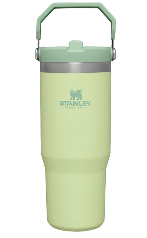 🏒 Elevate your drinkware game with the hottest trend in town – the viral Stanley Cup in Light Green! 🌟 Sip in style and show off your love for the game with this eye-catching and Instagram-worthy cup. Perfect for keeping your beverages cool while making a statement. Limited stock available, so grab yours now and join the trend! 🥂🏆 #StanleyCup #LightGreen #TrendyDrinkware #ThirstyForStyle #LimitedEdition #GameDayReady Light Green Stanley, Stanley Cup Tumbler, Green Stanley, Stanley Bottle, Green Water Bottle, Stanley Accessories, Stanley Iceflow, Trendy Water Bottles, Dream Items