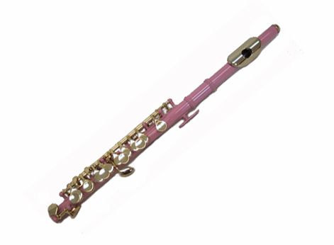 i also love my piccolo. my piccolo is a hot pink but this is close alittle:) i had my piccolo since 8th grade :) <3 Piccolo Instrument Aesthetic, Instrument Aesthetic, Piccolo Instrument, Neo Yokio, Pink Violin, Pump Organ, Clarinets, Electric Violin, Woodwind Instruments