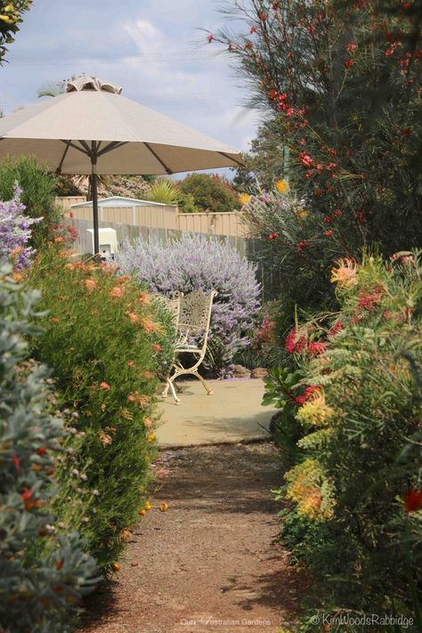 Australian Gardens, Australian Garden Design, Bush Garden, Australian Native Garden, Garden Growing, Australian Native Flowers, Cottage Garden Design, Australian Garden, Australian Native Plants