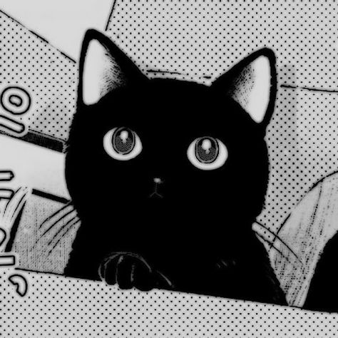 Manga Cat Pfp, Anime Icons Aesthetic Black And White, Cat Manga Icon, Black Cat Anime Aesthetic, Black Cat Manga, Cat Manga, Cocoppa Wallpaper, Cat Icon, Images Esthétiques