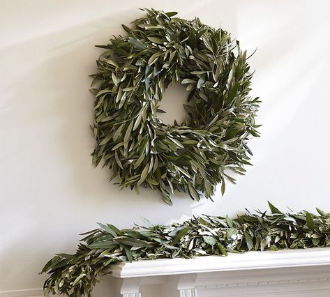 Myrtle Wreath, Olive Leaves, Wreath Garland, Porch Area, Wreaths And Garlands, Central California, Silver Bells, Williams Sonoma Home, Wreaths & Garlands