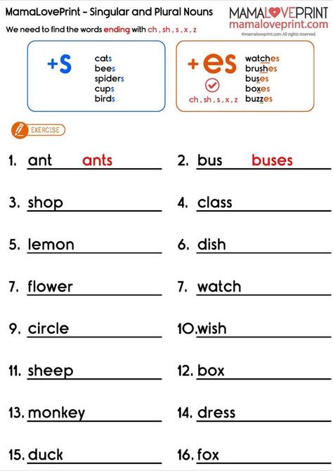 English Basic Grammar, Grade 1 English Worksheets, Learning Activities Kindergarten, Plurals Worksheets, Plural Nouns Worksheet, Materi Bahasa Inggris, Singular And Plural Nouns, English Grammar For Kids, English Worksheets For Kindergarten