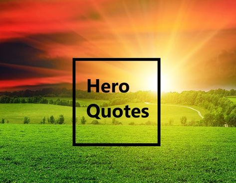 Hero Quotes My Hero Quotes, Rhonda Byrne Quotes, Happy Birthday Nicole, Penguin Day, Turtle Day, Hero Quotes, The Last Five Years, Last Five Years, You Are My Hero