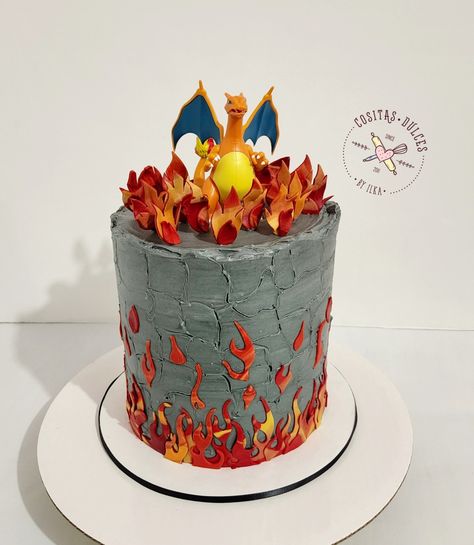 Torte Pokemon, Charizard Cake, Charmander Cake, Chocolate Piñata, Breakable Chocolate, Pokemon Birthday Cake, Chocolate Pinata, Lucario Pokemon, Cake Kids