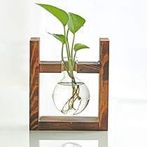 Hanging Glass Planters, Plant Propagation Station, Indoor Garden Wedding, Vase Transparent, Propagation Station, Bulb Vase, Plant Terrarium, Box Creative, Clear Vases