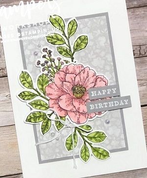 Cottage Rose Cards, Stampin Up Cottage Rose, Rose 2022, Rose Bundle, Cottage Rose, Rosé Birthday, Homemade Birthday Cards, Stampin Up Project, Birthday Stamps