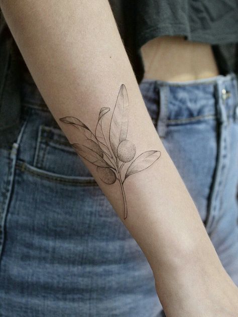 Olive Tree Branch Tattoo, Olive Tree Tattoos, Olive Tattoo, Olive Tree Branch, Tree Branch Tattoo, Olive Branch Tattoo, Black Line Tattoo, Branch Leaves, Minimal Tattoo Design