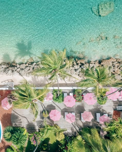 Stay at Cobblers Cove — Cobblers Cove Barbados School Core, Prettiest Beach, Pink Palm Tree, Soane Britain, Caribbean Beach, Caribbean Style, I Believe In Pink, Cool Breeze, Med School