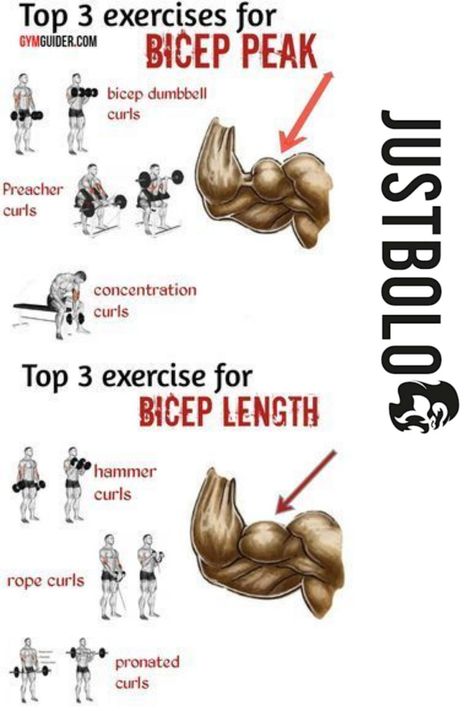 Arm Day Workout, Big Biceps Workout, Yoga Goals, Full Body Weight Workout, Workout Gym Routine, Bicep Workout, Gym Workout Guide, Work Out Routines Gym, Best Gym Workout