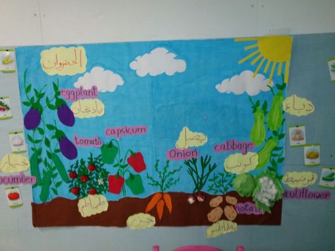 Vegetable classroom display board Vegetable Garden Bulletin Board, Vegetable Bulletin Board, Garden Bulletin Boards, Landforms Worksheet, Classroom Display Boards, Creative Curriculum Preschool, Vegetable Chart, Vegetable Crafts, Vegetable Decoration