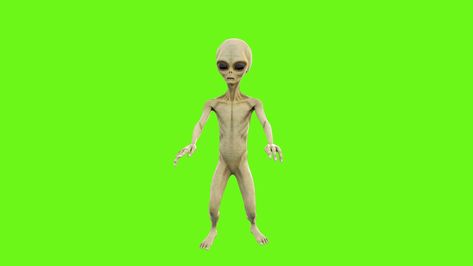 Alien Dancing. Loopable Animation On Green Screen. 4K. Alien Dancing, Green Screen, Motion Graphics, Stock Video, Dancing, Motion, Screen, Green