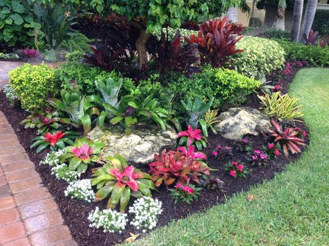 Tropical bromeliad garden design Fruit Garden Design, Entrance Landscape, Tropical Backyard Landscaping, Small Tropical Gardens, Florida Landscaping, Tropical Garden Design, Florida Gardening, Tropical Backyard, Pool Garden