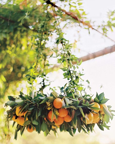 Floral Chandeliers, Wedding Chandeliers, Backyard Dinner, Ojai Wedding, Winter Florals, Citrus Wedding, Orange Wedding Flowers, Flower Chandelier, Floral Chandelier