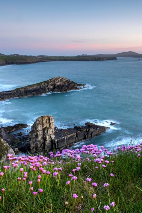 North Wales Aesthetic, Wales Coast, Rhossili Bay, Pembrokeshire Coast Path, Swansea Bay, Manifesting 2024, Wales Flag, Future Aesthetic, Gower Peninsula