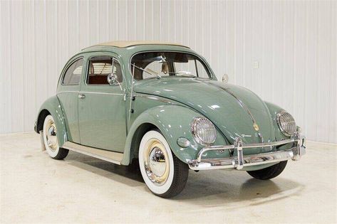 1960s Vw Beetle, Volkswagen Beetle 1970s, 1969 Volkswagen Beetle, Green Volkswagen Beetle, 80s Things, Car Reference, Horseless Carriage, Beetle Vw, Beetle For Sale