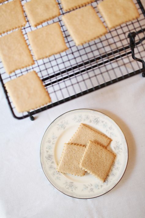 Shrewsbury Cakes: An Elizabethan Cookbook (Photo by @Scot Woodman) Shrewsbury Cakes, Shrewsbury Cake, Elizabethan Recipes, Shrewsbury Biscuits, Medieval Recipes, Ancient Recipes, Food History, English Food, British Food