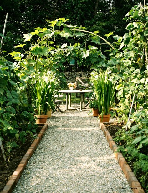 Shed Inspiration, English Garden Design, Gravel Path, Path Design, Gravel Garden, Garden Design Layout, Secret Gardens, Backyard Garden Design, Garden Pathway