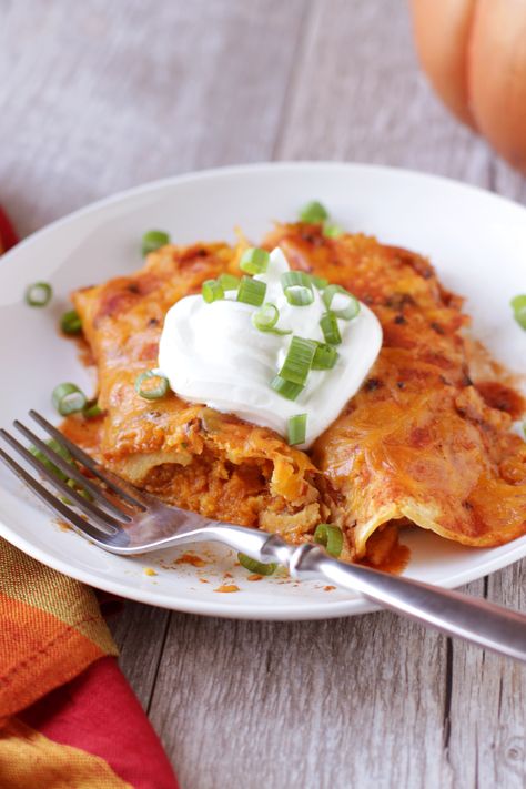 Low FODMAP Pumpkin Enchiladas - Delicious as it Looks Tomato Enchilada Sauce, Pumpkin Enchiladas, Low Fodmap Pumpkin, Elimination Diet Recipes, Pumpkin Filling, Low Fodmap Diet, Low Fodmap Recipes, Elimination Diet, Fodmap Diet