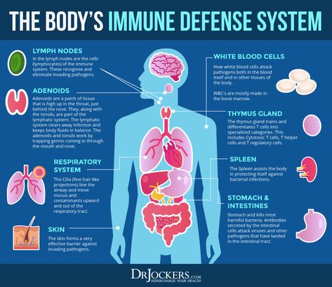 Immune Boosters: 12 Natural Immune System Modulators - DrJockers.com Immunology Art Immune System, Immune System Notes, Med Stickers, Sauna Therapy, Dr Jockers, Bio Notes, Exams Preparation, Getting Rid Of Gas, Iodine Deficiency