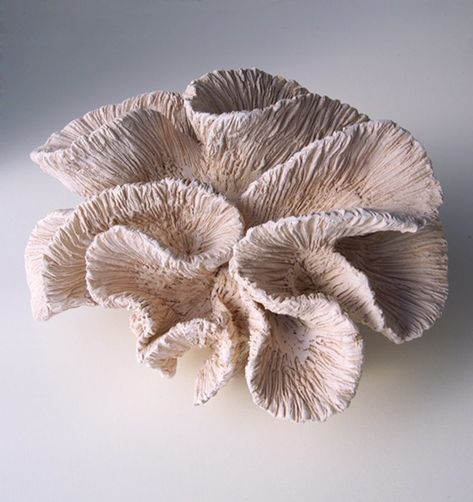 Alexandra Engelfriet, Coral Clay Sculpture, Mold Art, Ceramic Sea Creatures, Coral Clay, Ceramic Coral, Coral Ceramics, Ceramic Coral Reefs, Coral Sculpture