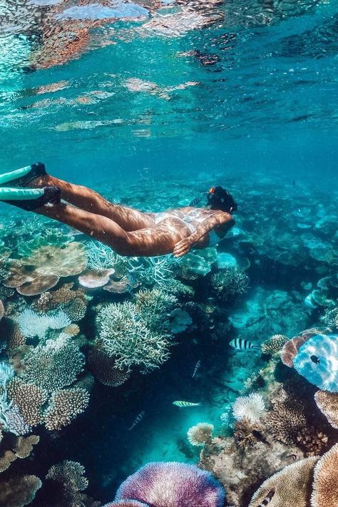 Fiji Aesthetic, Adventure Woman, Fiji Holiday, Swimming In The Ocean, Underwater Pictures, Underwater Photos, Ocean Vibes, Island Getaway, Dream Travel Destinations