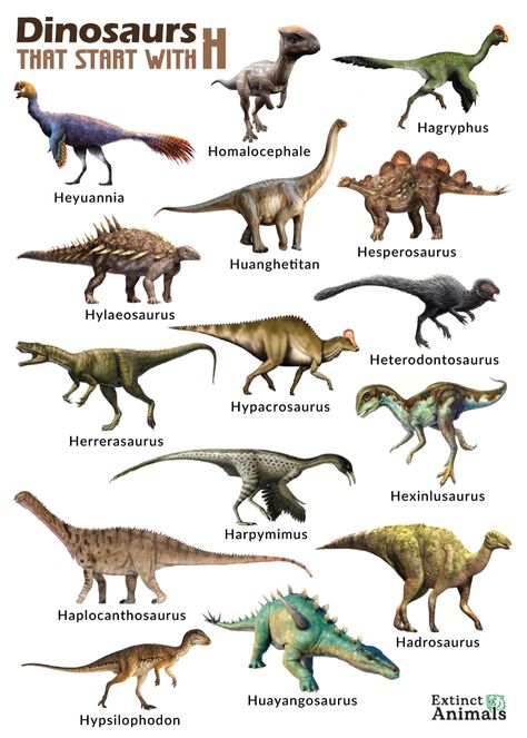 Dinosaur Real, Big Dinosaurs, Real Dinosaurs, Dinosaur Information, Dinosaur Names, Types Of Dinosaurs, Geology Art, Dinosaur Types, Prehistoric Animals Dinosaurs