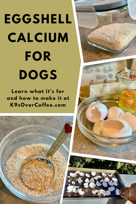 4 different images showcasing homemade eggshell calcium powder for dogs and empty eggshells in a glass bowl and on a baking sheet in the sun. Eggshells For Dogs, Calcium For Dogs, Diy Raw Dog Food, Homemade Raw Dog Food, Dog Nutrition Homemade, Eggshell Powder, Eggs For Dogs, Nutritional Yeast Benefits, Dog Homemade